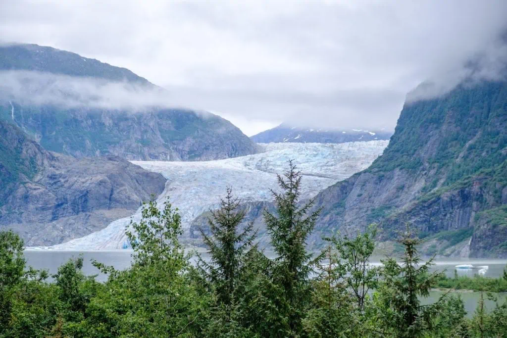 Vue du glacier Mendenhall depuis un sentier de randonnée à proximité