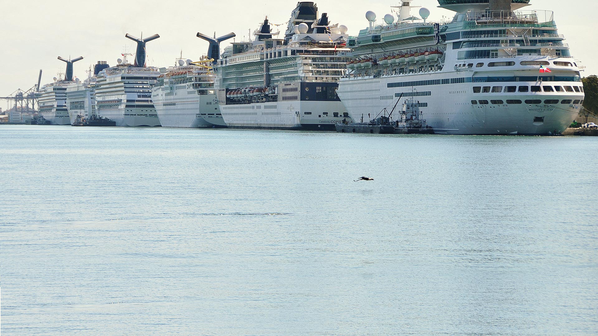 Navires alignés à PortMiami